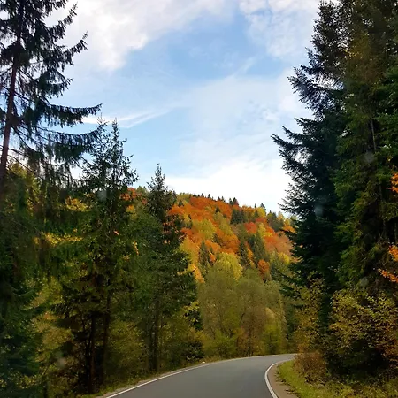 Rodzinna * Tylicz