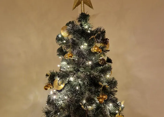 Rodzinna Pensión 3*