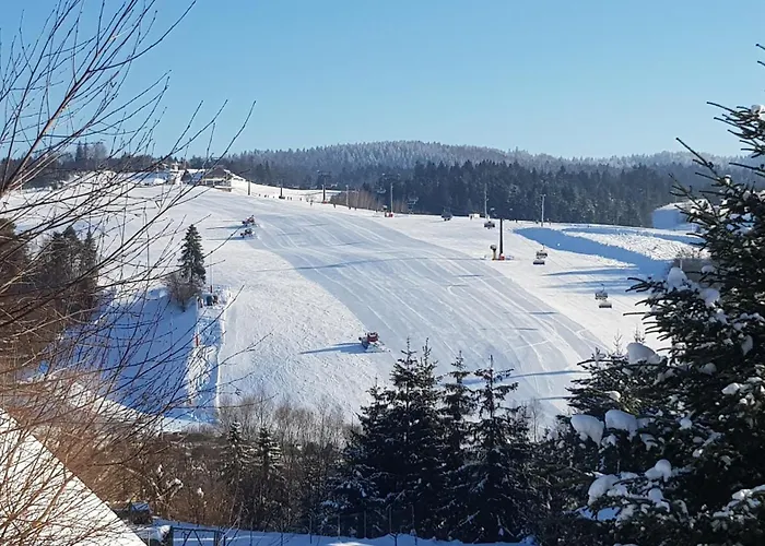 Pensión Rodzinna Tylicz